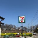 남해-306 | 경남 남해 유채꽃 명소 추천 지금이 절정 ”미국마을 세븐일레븐 유채꽃“ 현 상황 개화 상태 주차 후기