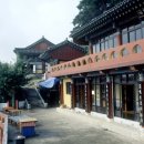 서가.雪설 이미지