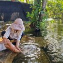 효심 농장 이미지