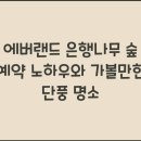 더나무숲 티스토리