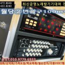 영천금영