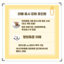 더블유오티펫푸드학원