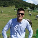 패밀리관광여행사 이미지