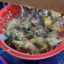 금강수변공원(보람동) | 세종 조개구이 무한리필 보람동 맛집 세종 조개창고