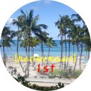 안연일농장 | [Honeymoon] 하와이 신혼여행 - 첫번째