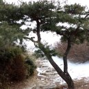 청주 상당산성 산행 (2014.2.12) 이미지