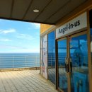 엔제리너스(천상점) 이미지