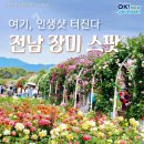 서천 장미공원 이미지