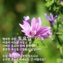 토요일 이미지