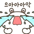 리유 에스테틱