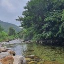 소백산꽃가람야영장
