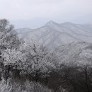 국수당 이미지