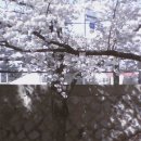 바글바글 노래연습장 이미지