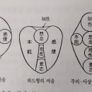 제5장 마음의 기능을 파악하는 방법 / 감정 이미지