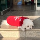 철마목욕탕 이미지