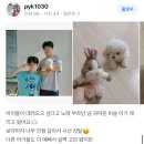 1716 | (1716) 의정부 애견분양 후기 (feat. 멍냥스타)