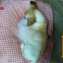 종기농장 이미지