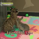 별난 상상 동물원 네이버블로그