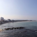 백사장해변 이미지