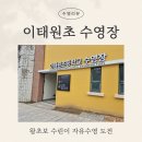 이태원초교 | [수영 #4] 왕초보 수린이 첫 자유수영 재개장한 이태원초등학교 수영장 후기