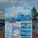 2024년 제14회 안성시장배 시민 수영대회 참여후기: 안성국민체육센터 수영장