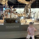 성체유치원 놀이터 | 서울 공룡 전시 국립과천과학관, 어린이 체험 및 주차 정보까지