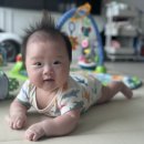 더하정 이미지