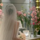 💍결혼식 '오르나 스냅' 계약 후기 - 핀터레스트 감성 10만원대 아이폰스냅
