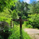 야시대로 이미지