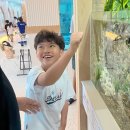 퍼스트피시카페 | 부산 명지 아쿠아플레이하우스 수족관 파충류 키즈카페를 한 번에 체험하는 곳 후기