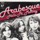 Arabesque_Hello Mr. Monkey ♬ 헬로~헬로 미스터 몽키~ ♬ 이미지