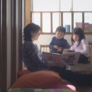 씨 없는 수박 김대중 카카오 검색결과