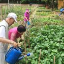 공동 텃밭에서 이웃간 소통-서울 성동구 행당대림아파트 이미지