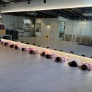 리틀빅(littlebic) 이미지