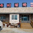 육미천하 이미지