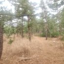 동호어촌체험휴양마을 이미지