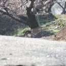 이동열 | 수면: 낮의 실무자 젊은 뇌, 밤의 관리자 늙은 뇌