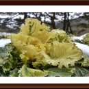 계명공원 이미지