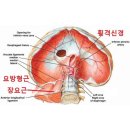 생각의 오름 이미지