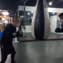 와룡복싱 이미지