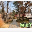 헤세의정원 이미지
