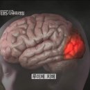 루이체 이미지