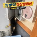 하나방역김해지사