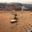 포레스트258 펜션 이미지