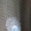 DEVIL 모터스 이미지