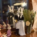 실버래빗 | 천안 데이트 분위기 좋은 술집/레스토랑, 실버래빗 방문 후기