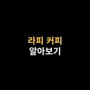 라피에 이미지