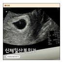 신제일 이미지