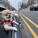 윤성(오리랑닭이랑) | 새해 첫곡으로 하트브레이커 들은 썰 푼다