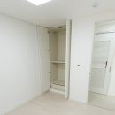 베네스트로즈 이미지